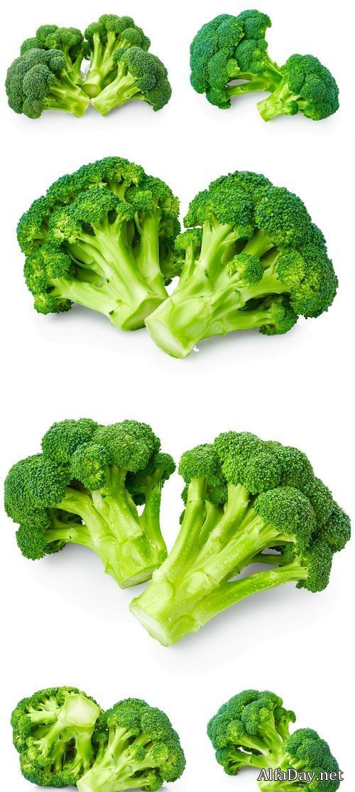 Fresh broccoli 6X JPEG