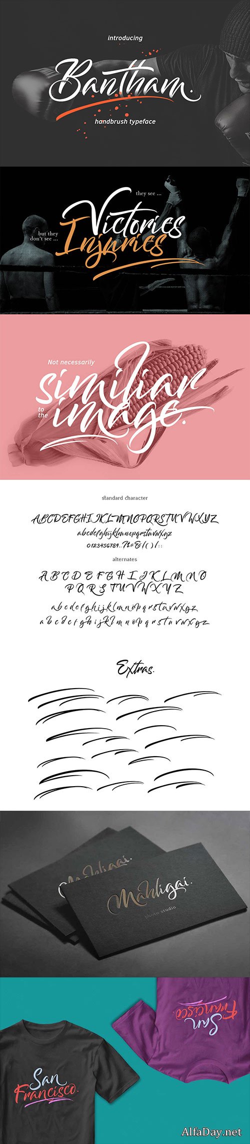 Bantham Brush Typeface