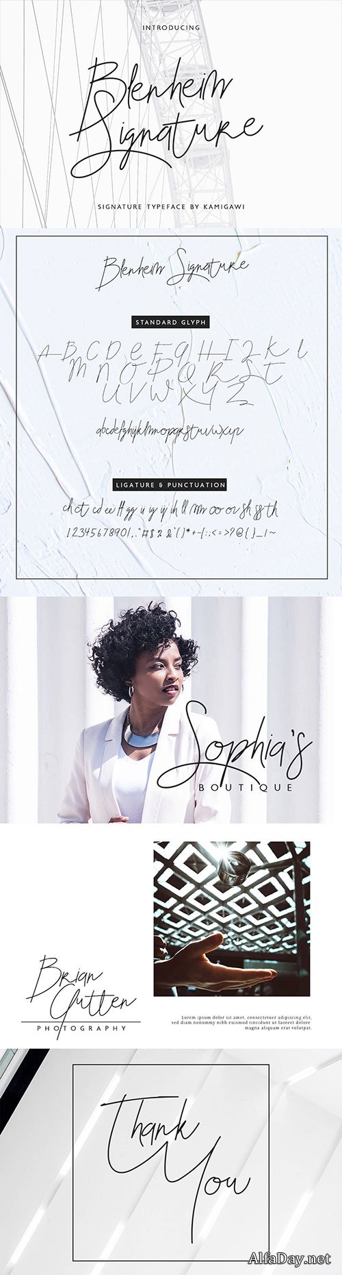 Blenheim Signature Font