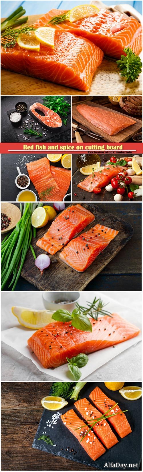 Red fish and spice on cutting board, salmon