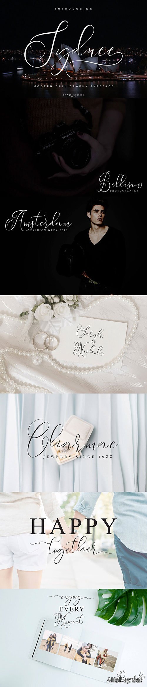 Syndee Modern Calligraphy Script Font