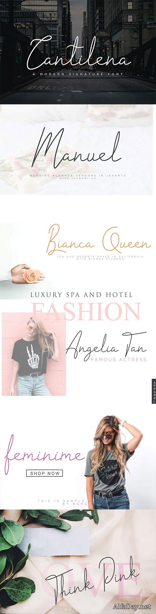 Cantilena Signature Font Cantilena Signature Font
