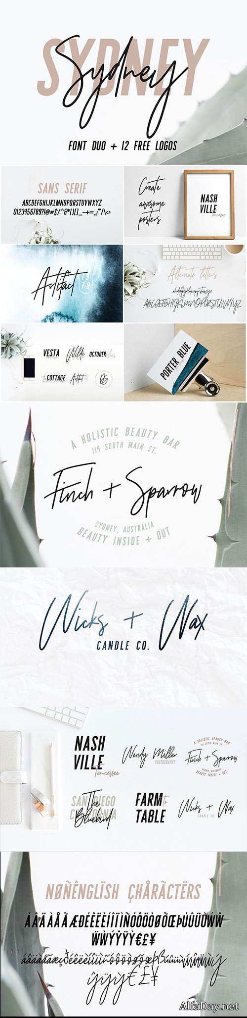CM - Sydney | Font Duo + 12 Free Logos 1699086