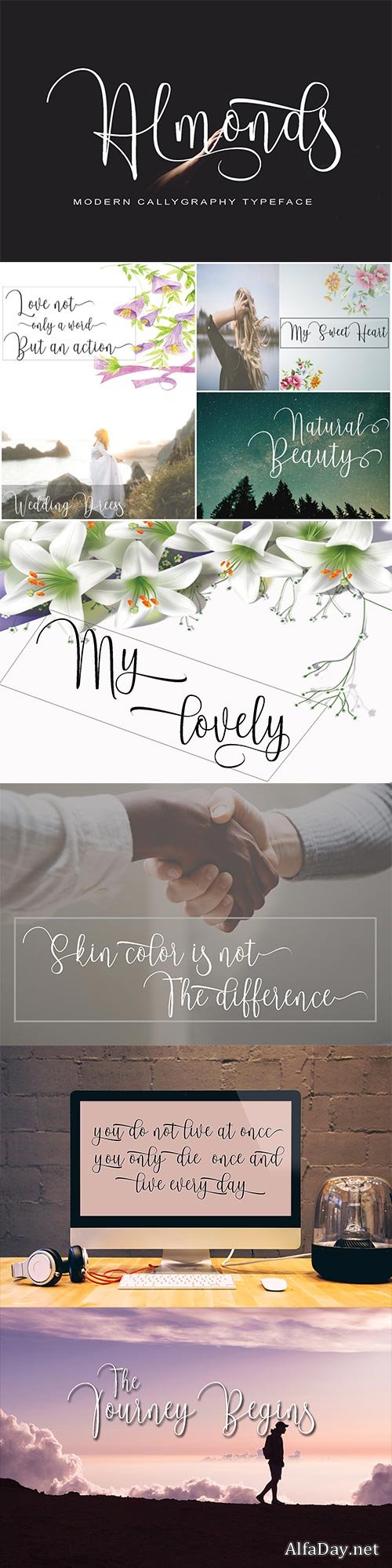 CM - Almonds Script 2943471