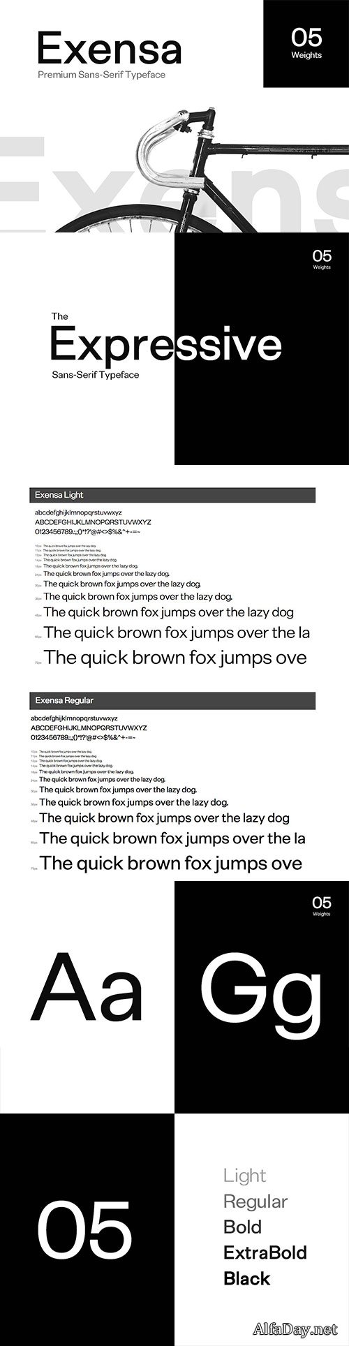 CM - Exensa Grotesk Typeface + Web Fonts 2436076