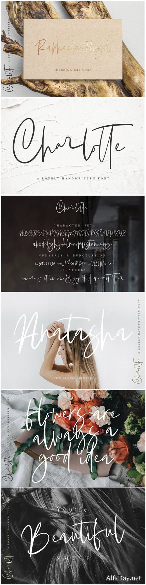 CreativeMarket Charlotte | Handwritten Font 2993745