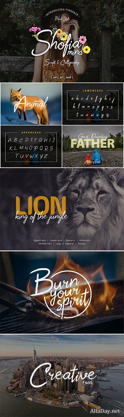 CM - Shofia Mind Script Font 3017341