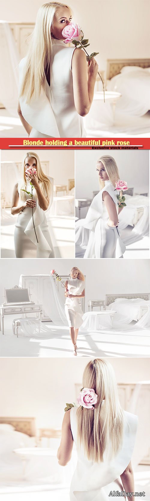 Elegant, young blonde holding a beautiful pink rose