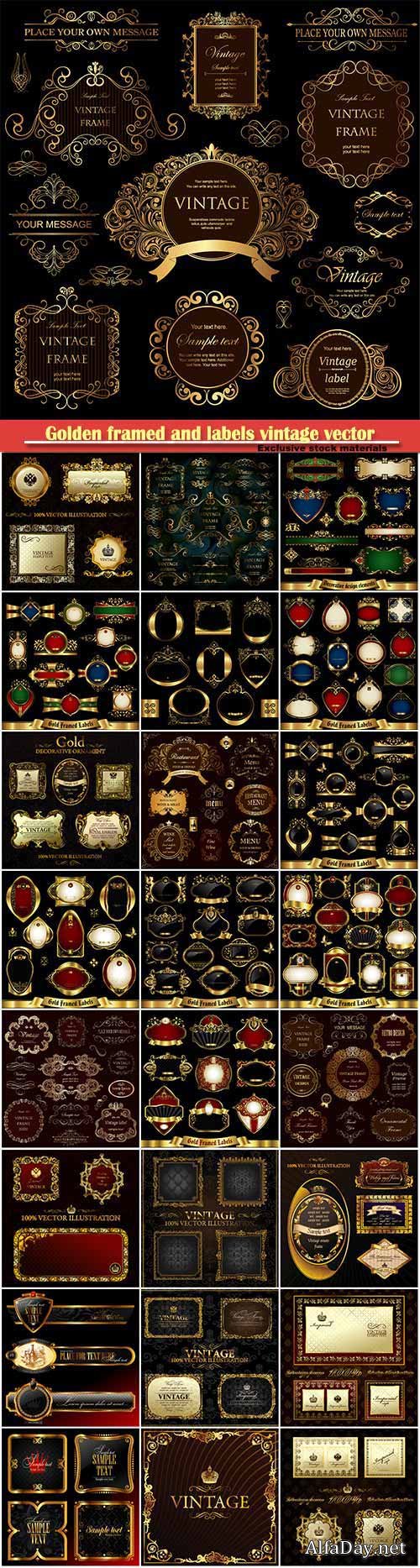 Golden framed and labels vintage vector illustration