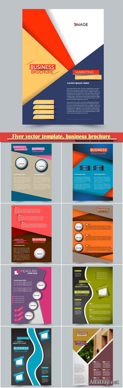 Flyer vector template, business brochure, magazine cover # 36