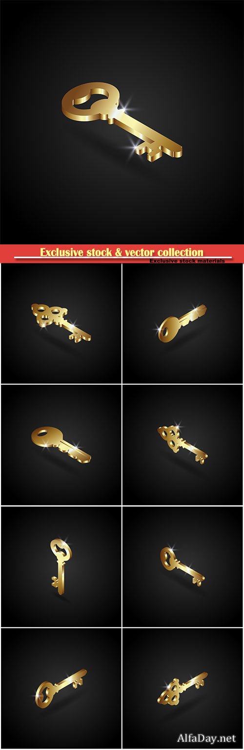 Luxury golden key vector illustration