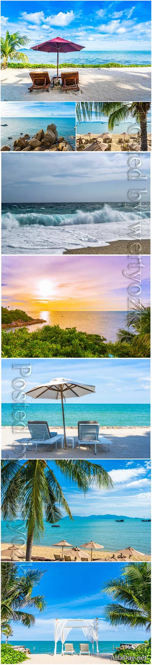 Beautiful tropical beach