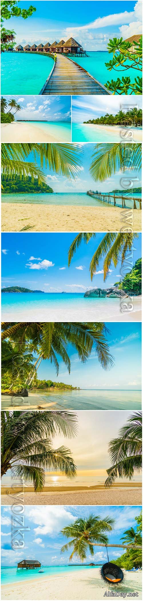 Beautiful tropical beach sea with  palm tree paradise island