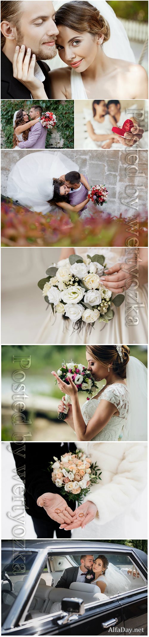 Wedding stock photo, bride and groom