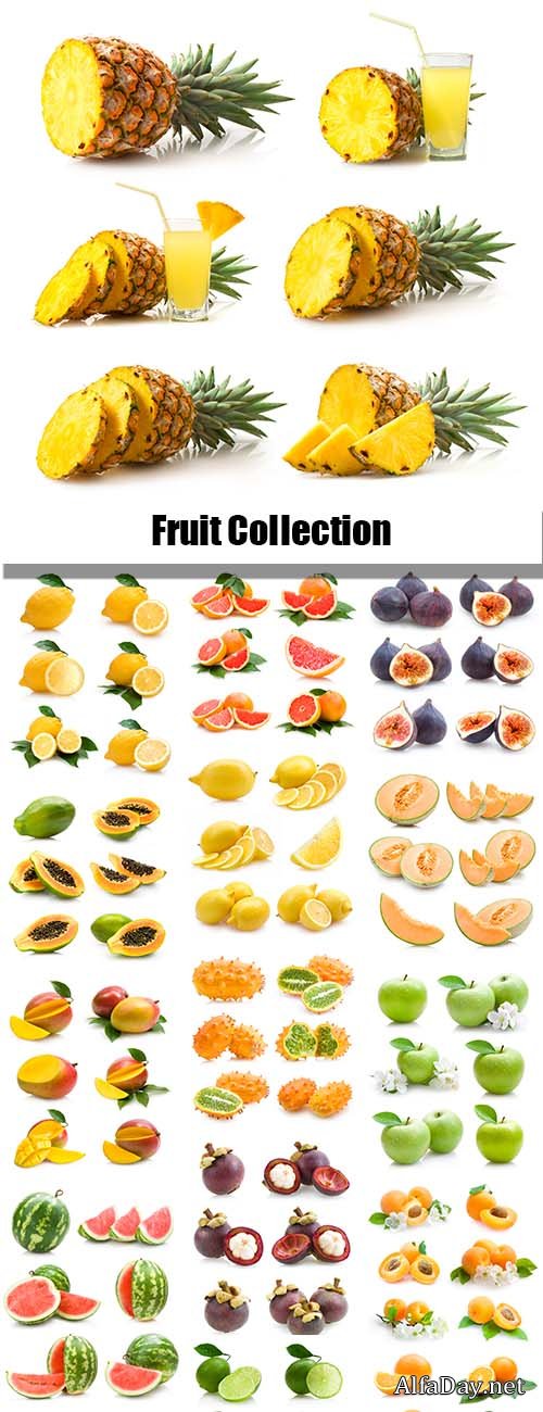 Fruit Collection - 25xJPGs