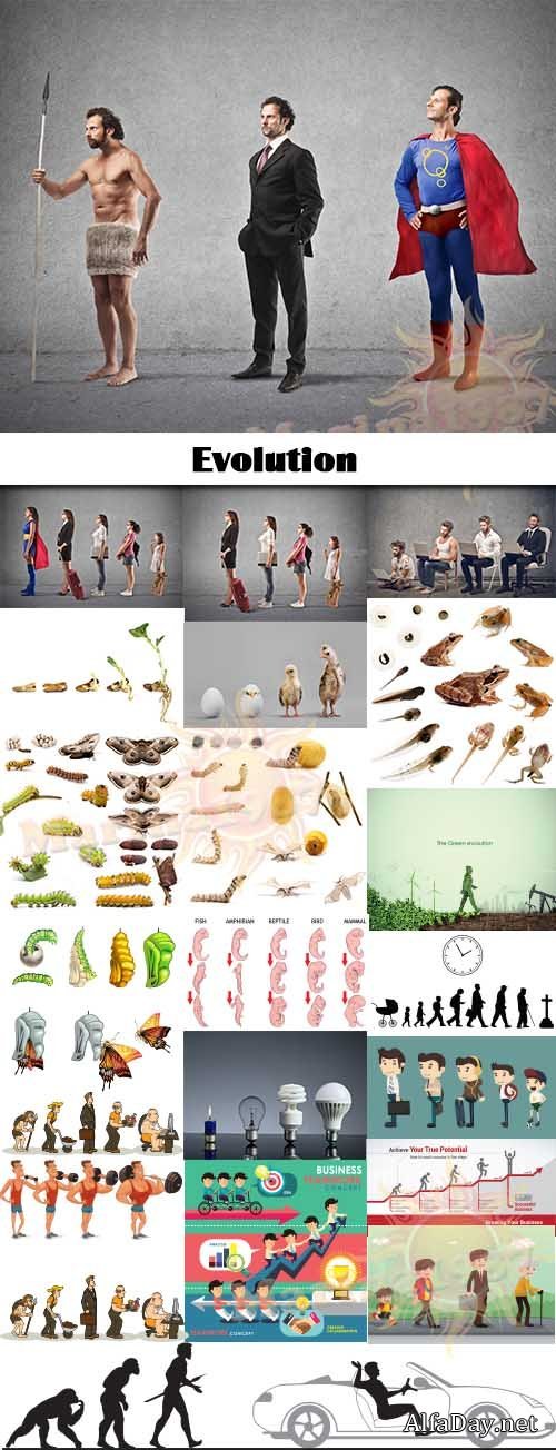 Evolution