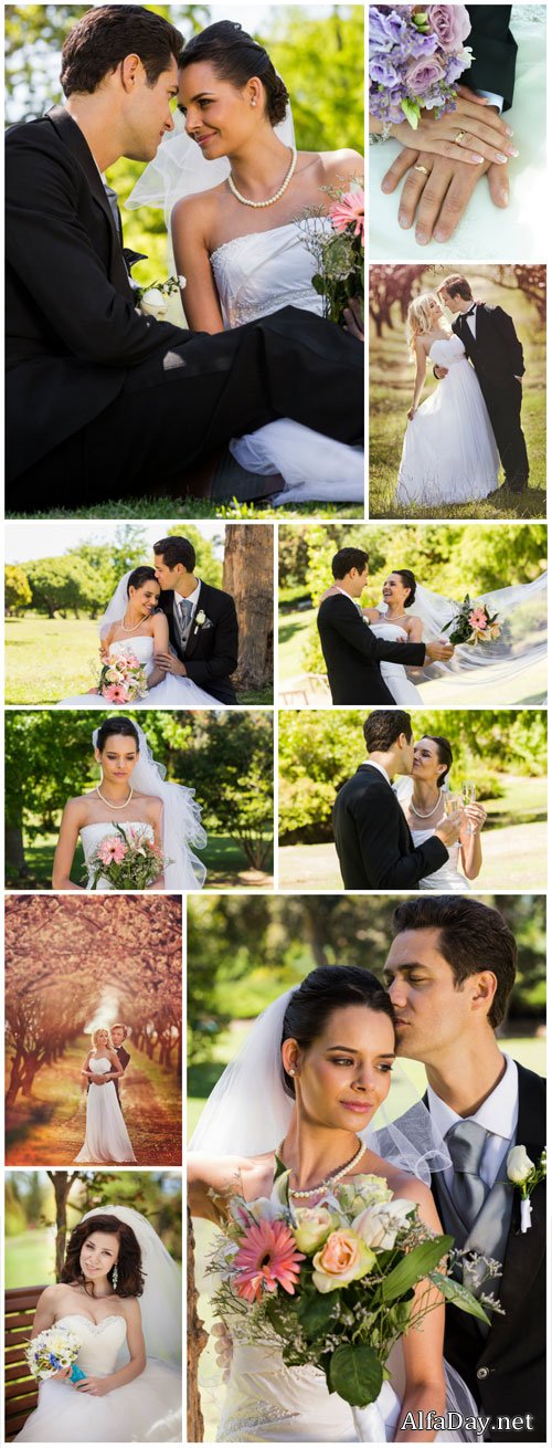 Happy newlyweds, bride and groom, wedding stock photo