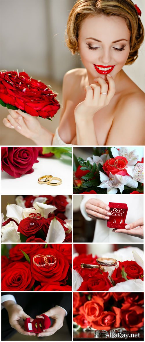 Bride with red roses and wedding rings stock photo
