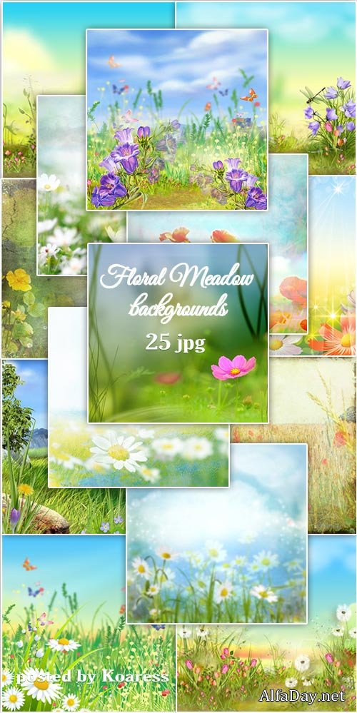 ���� jpg �������� ��� - Flower meadow ipg backgrounds