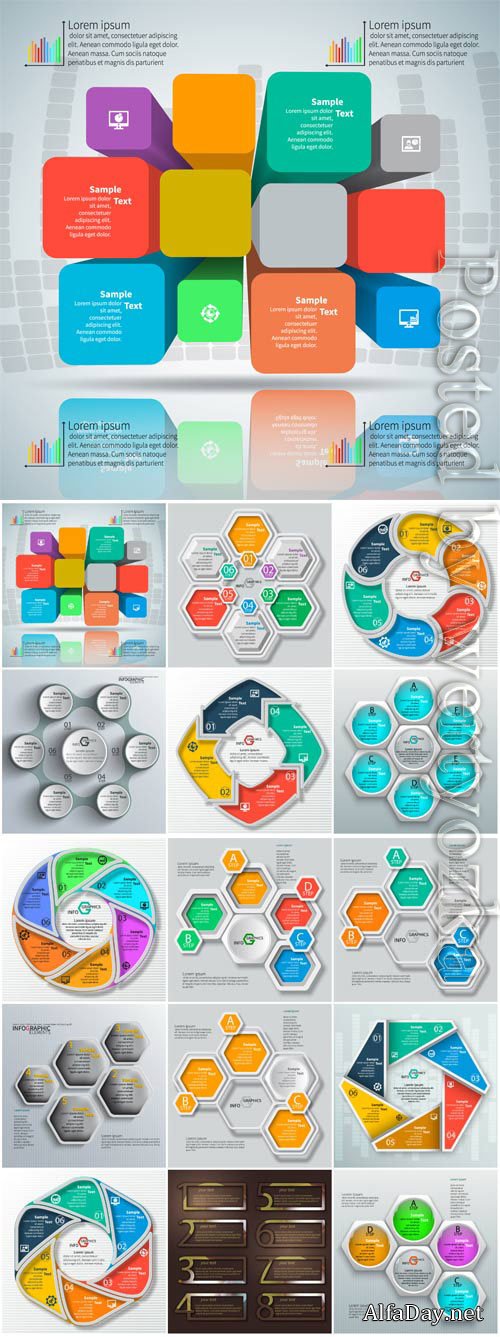Vector infographics