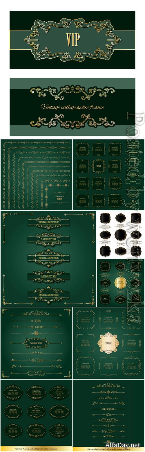 Frames borders and golden design elements in vector