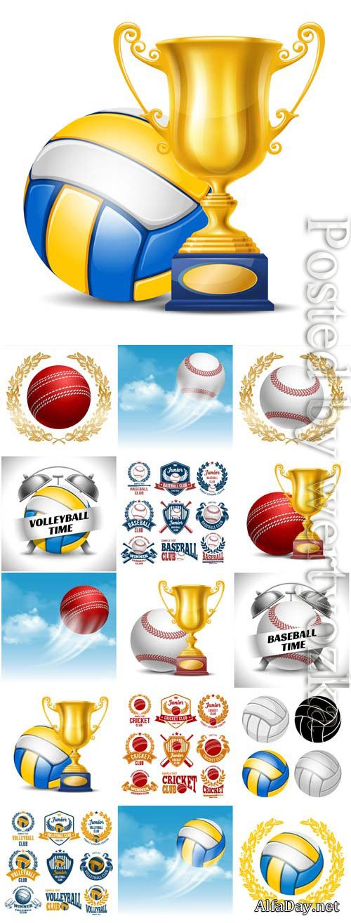 Sports items, balls and cups in vector