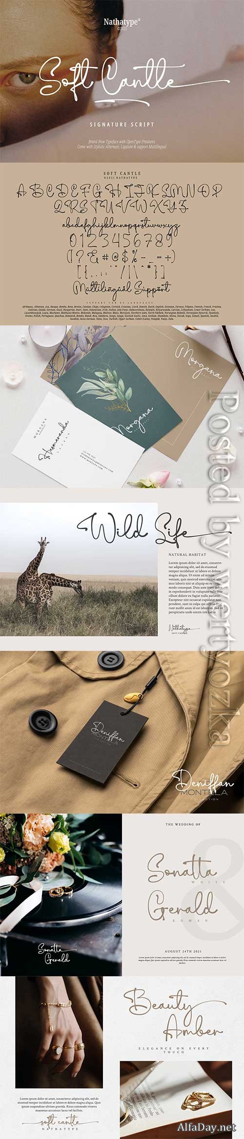 Font Soft Candle