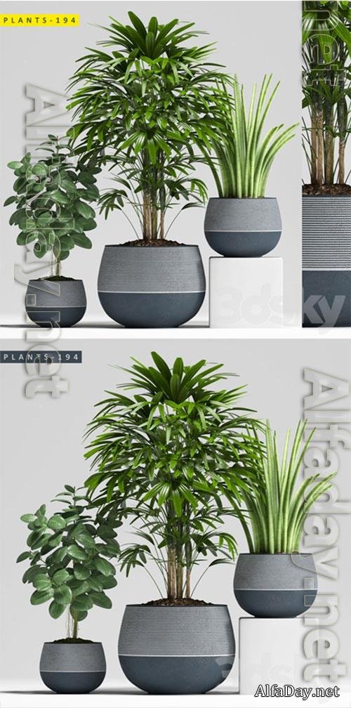 3D Models Plants 194