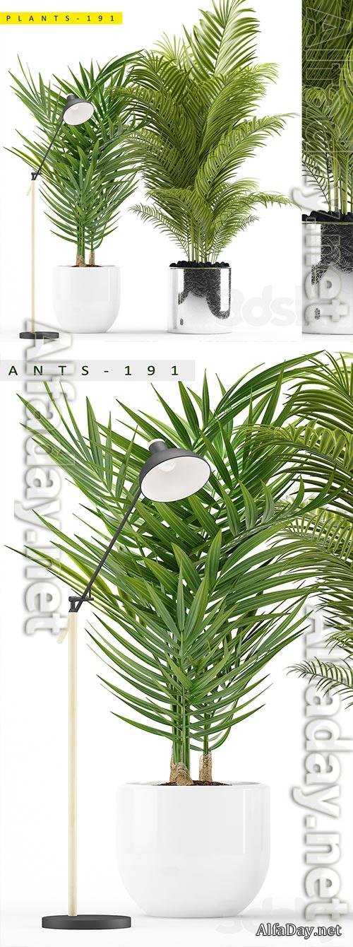 3D Models PLANTS 191