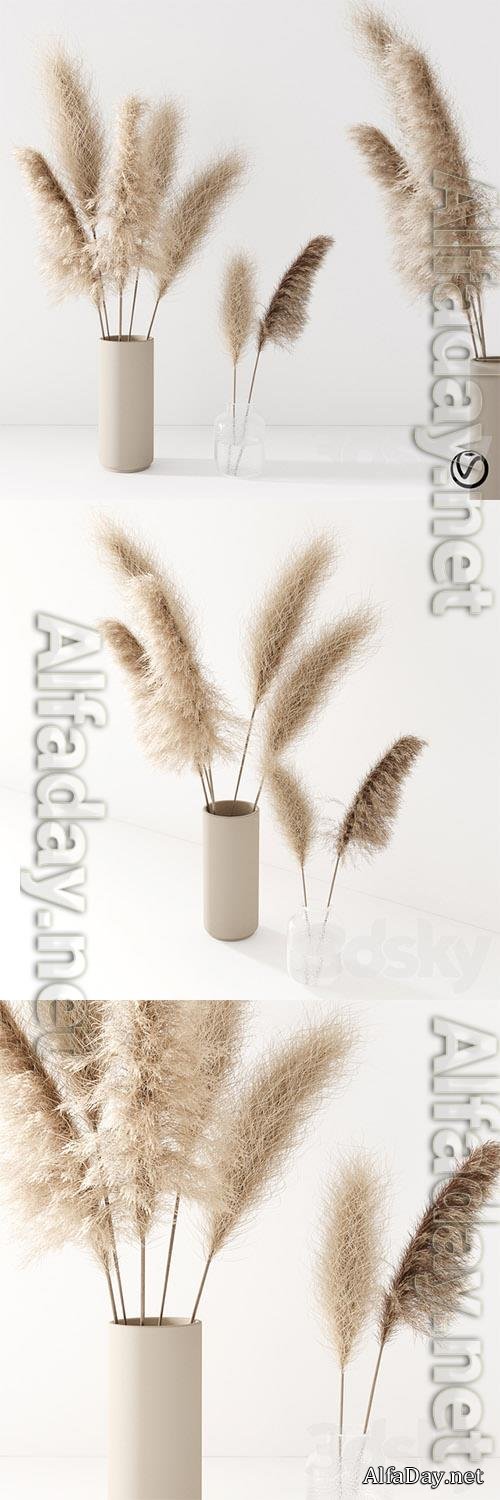 Set of Pampas grass in Vase 3D Models