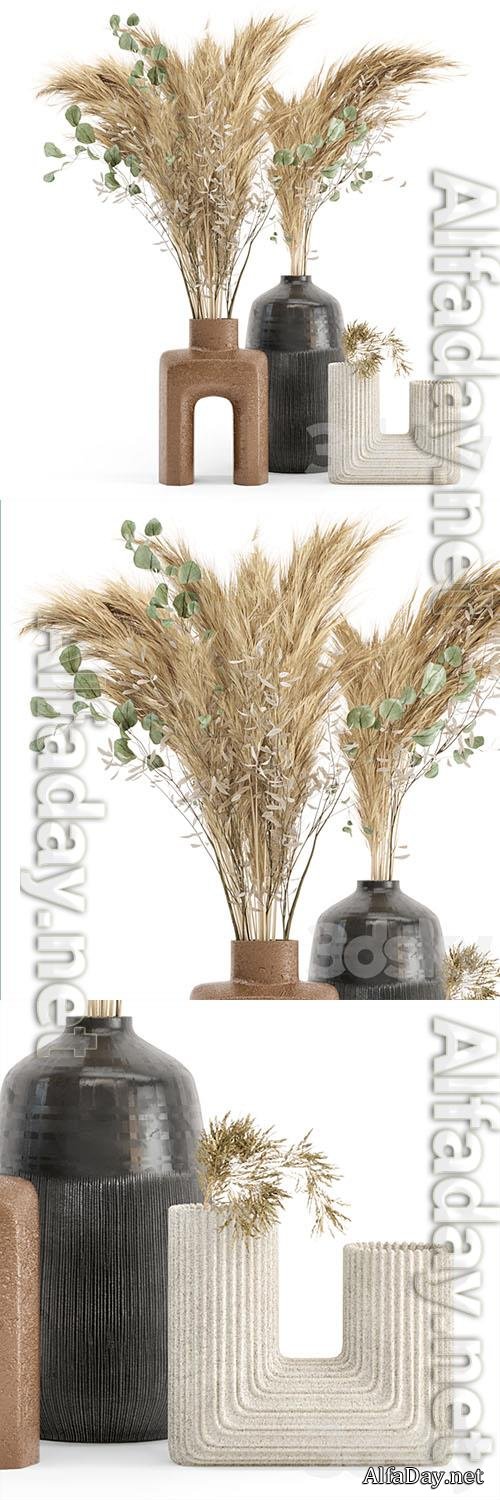Dry plants 19 � Dried Plantset Pampas with Concrete vase 3D Models